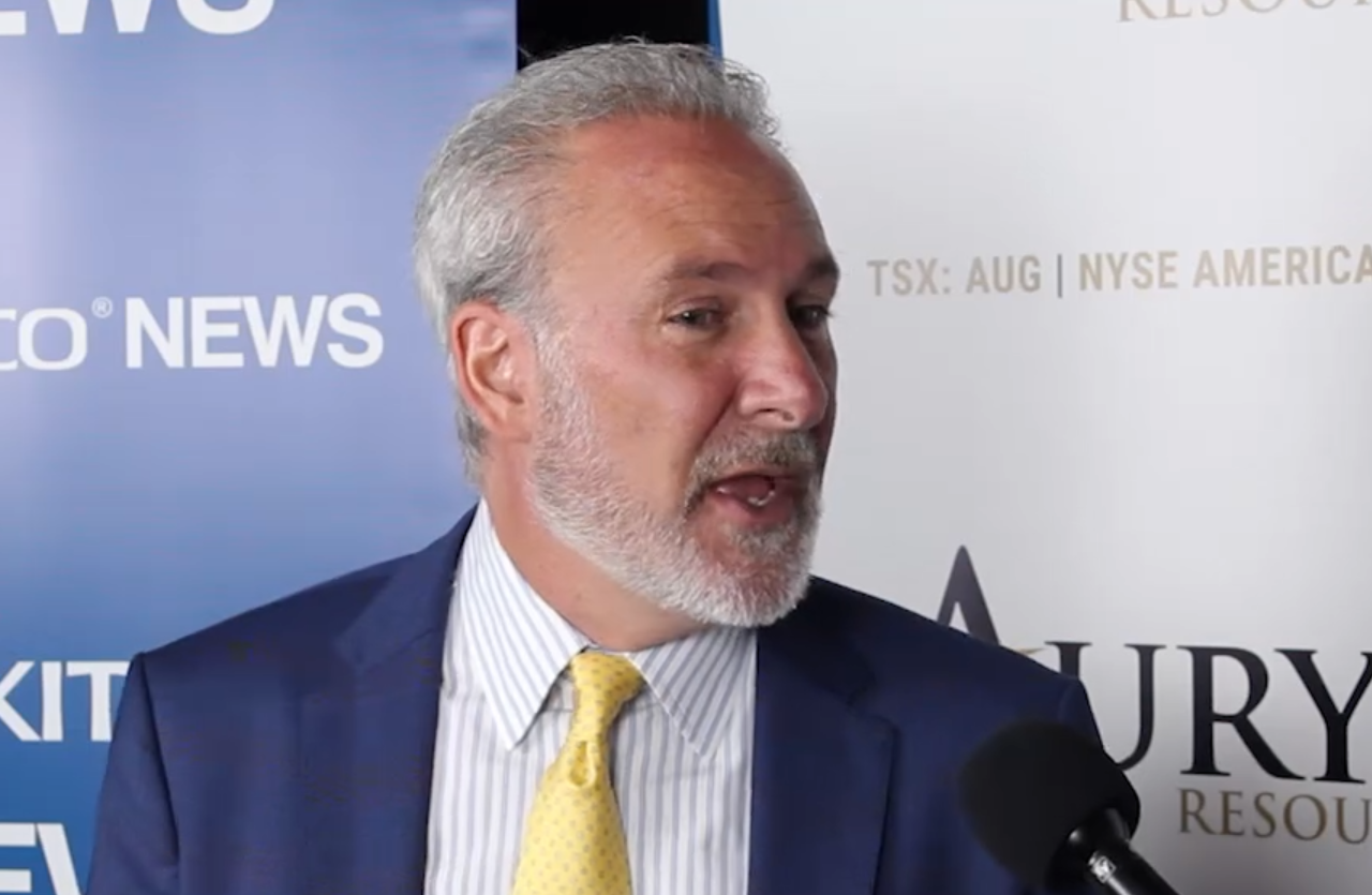 Peter Schiff, Economic Wizard