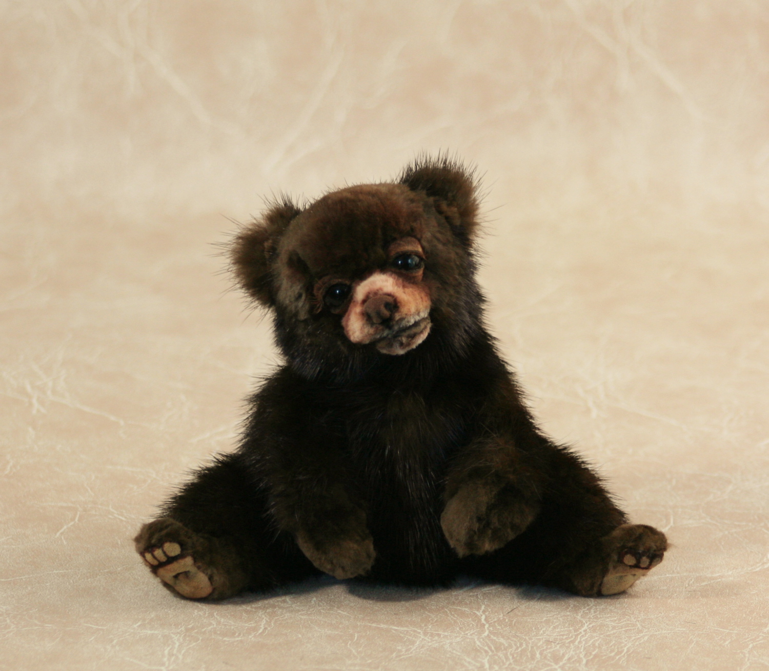 cute baby brown bears